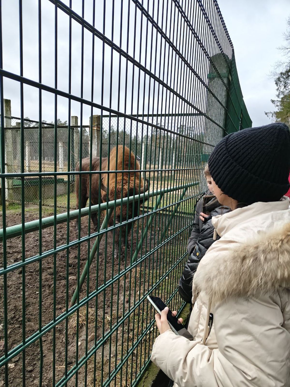 belovezhskaya-pushcha-4